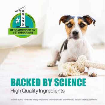 Joint Health Supplement for Large Dogs B673