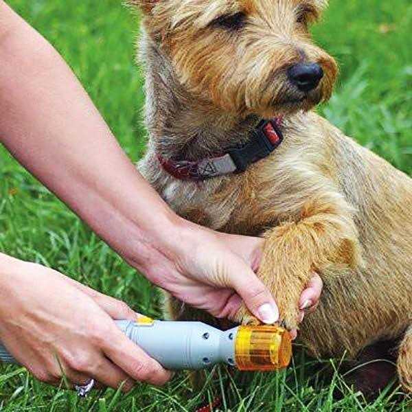 Pet Nail Trimmer O262438