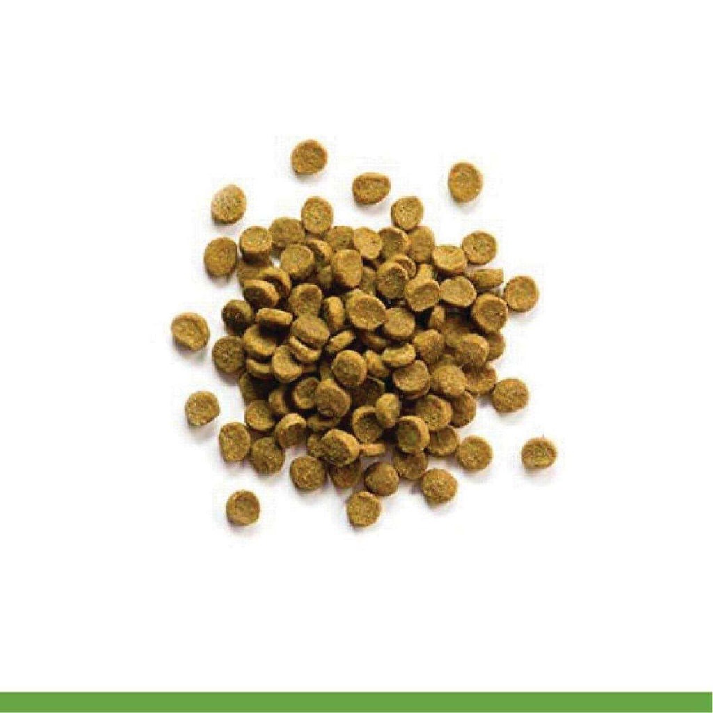 Grain Free Ferret Food N4119