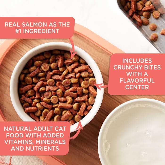 Dry Cat Food E6634