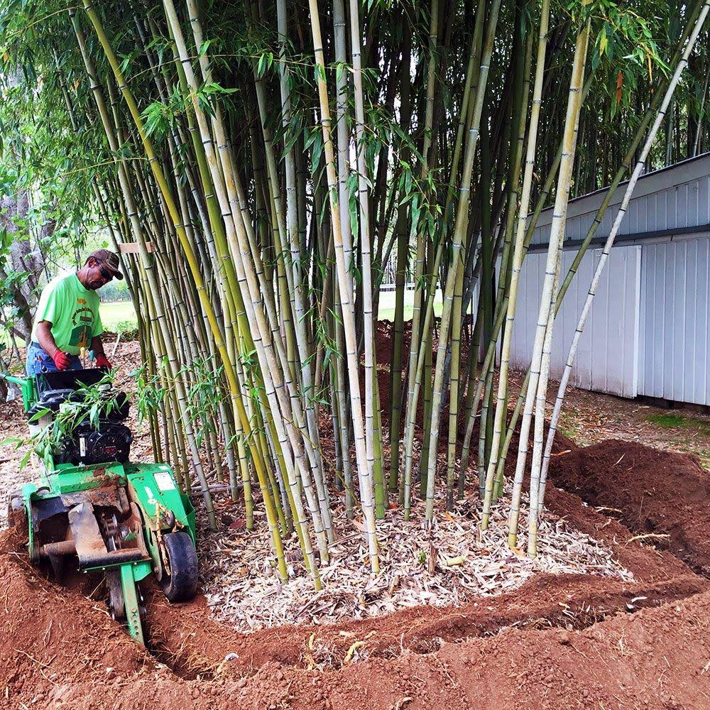 75 Feet Long x 24 inch x 60 Mil Bamboo Root Barrier W11057