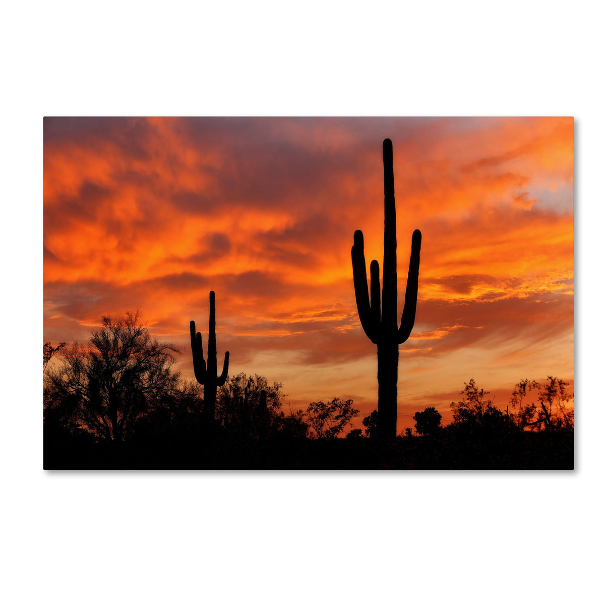 Canvas Art I331304