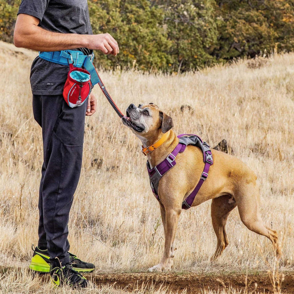 Dog Treat Bag S978128