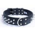 Spiked Dog Collar Q611