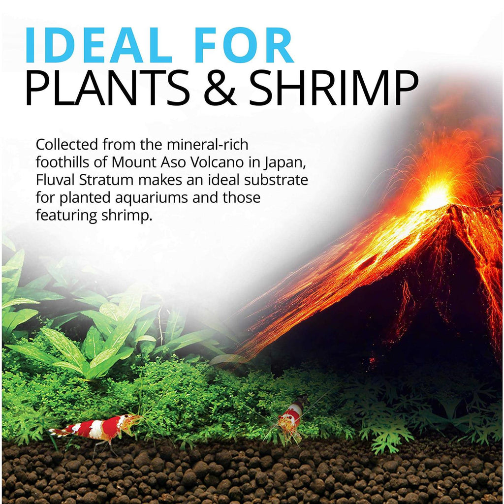 Plant and Shrimp Stratum D92761