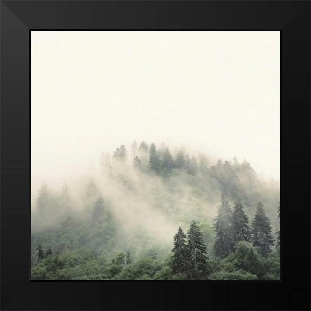 12x12 Black Framed Art Print E404638