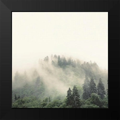 12x12 Black Framed Art Print E404638