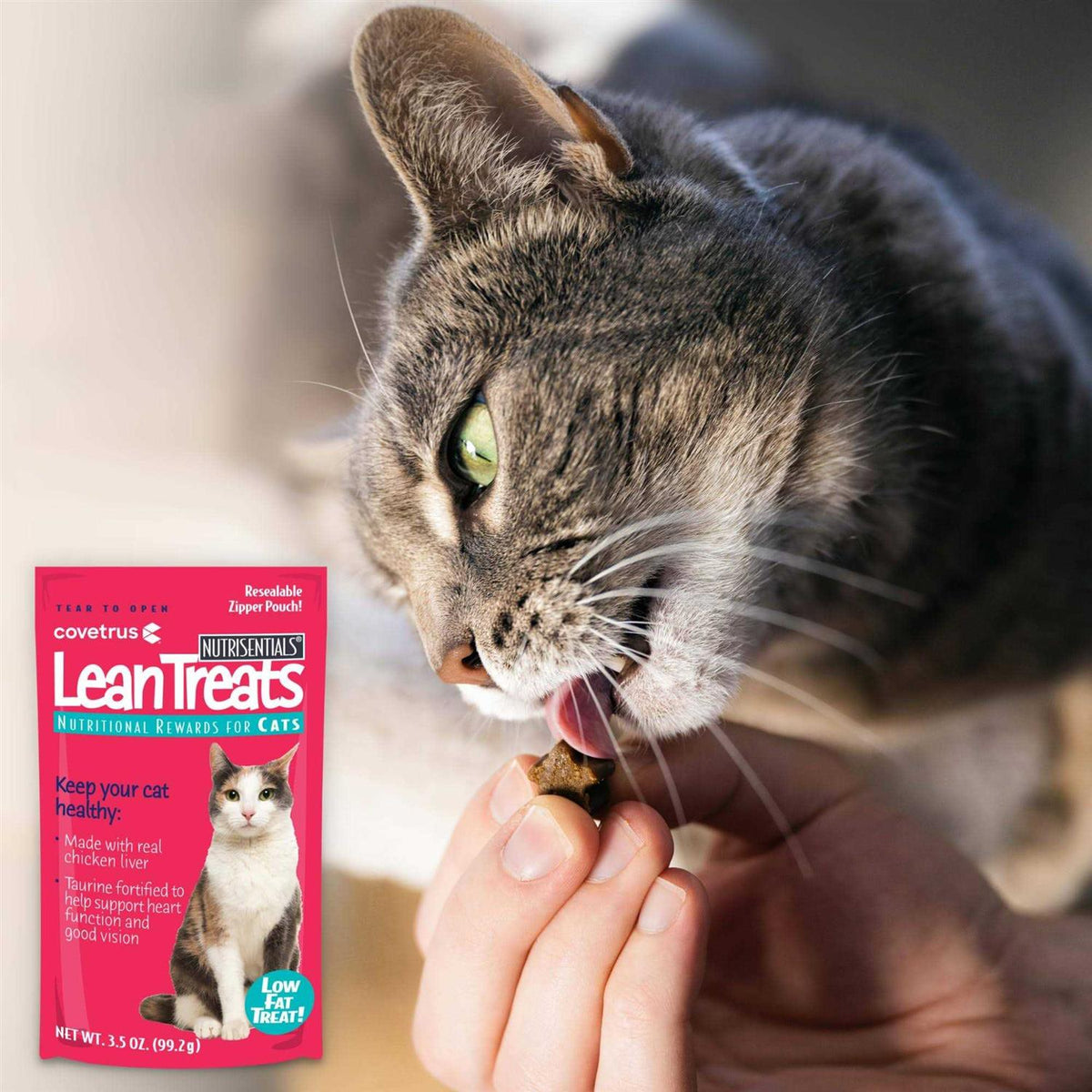 Lean Soft Cat Treats F3083