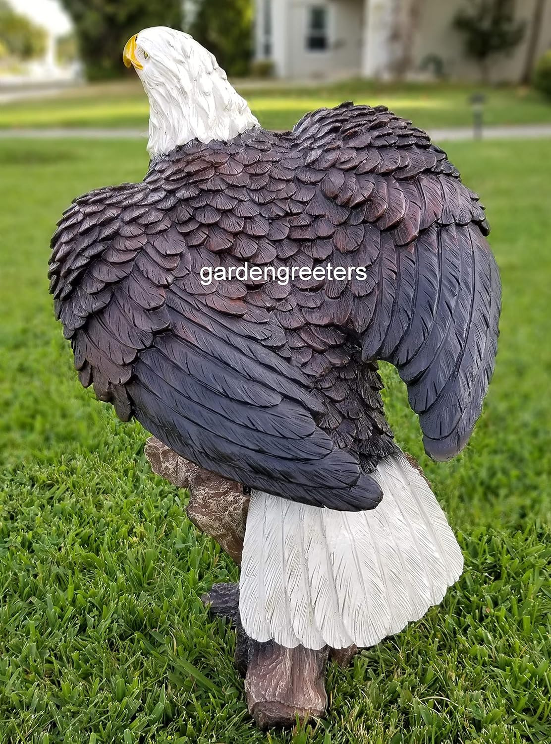 Large American Eagle Statue U3082