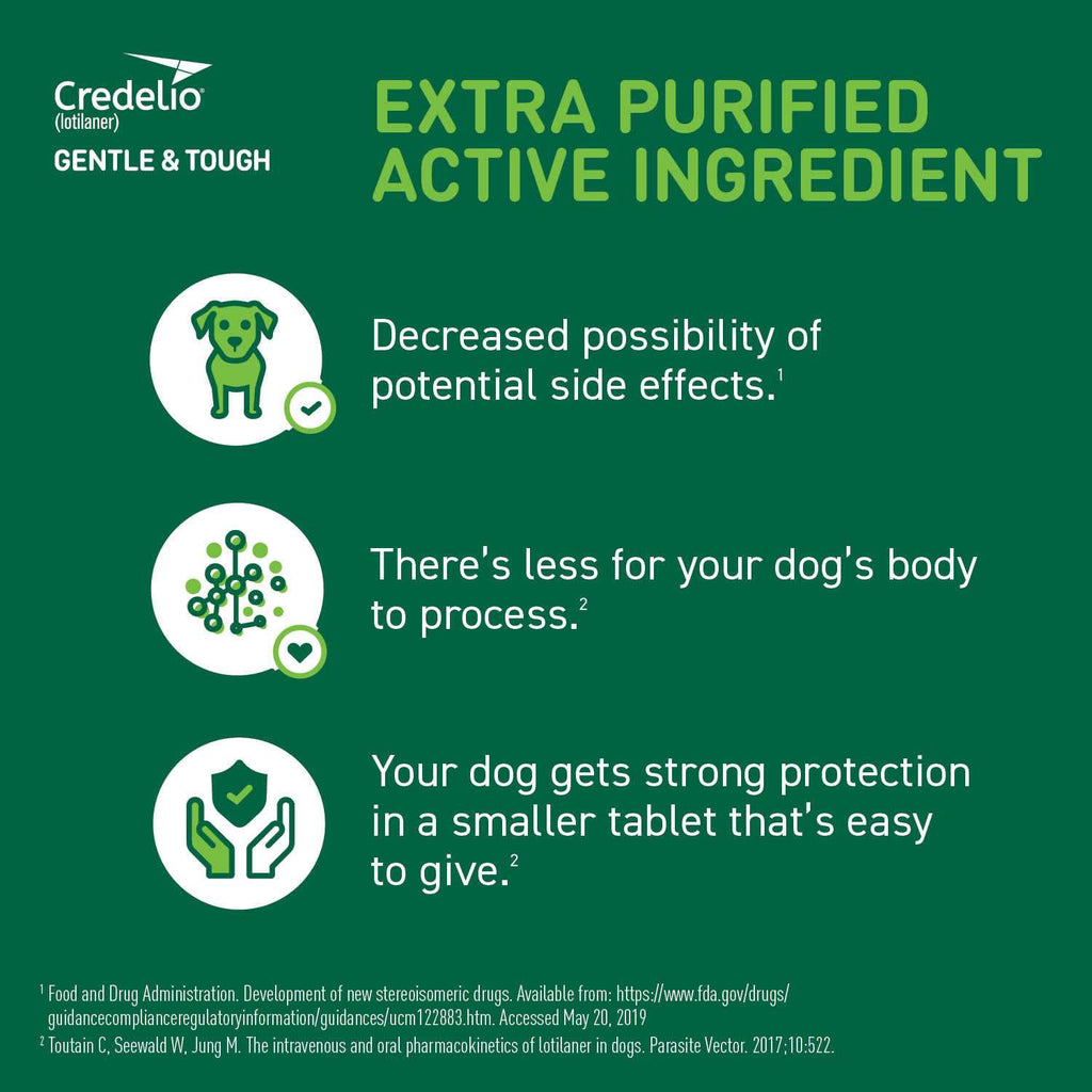 Chewable Tablet for Dogs Z95292