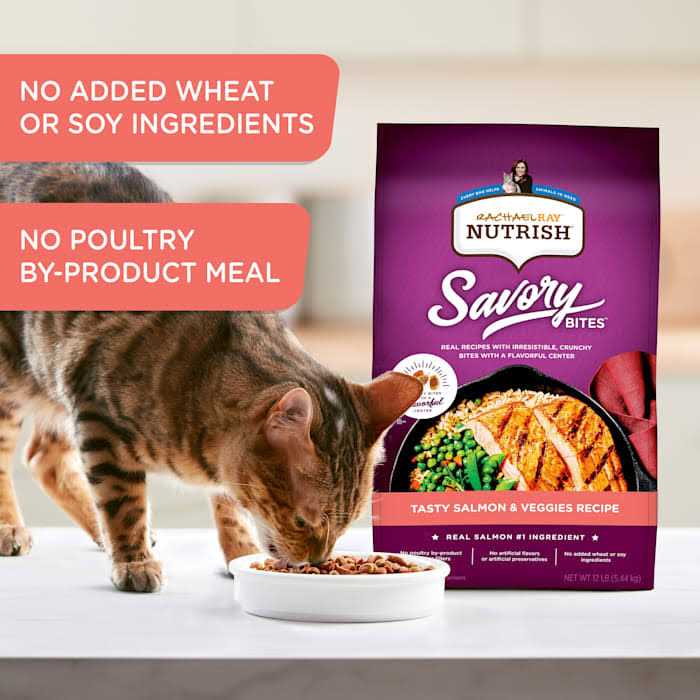 Dry Cat Food E6634