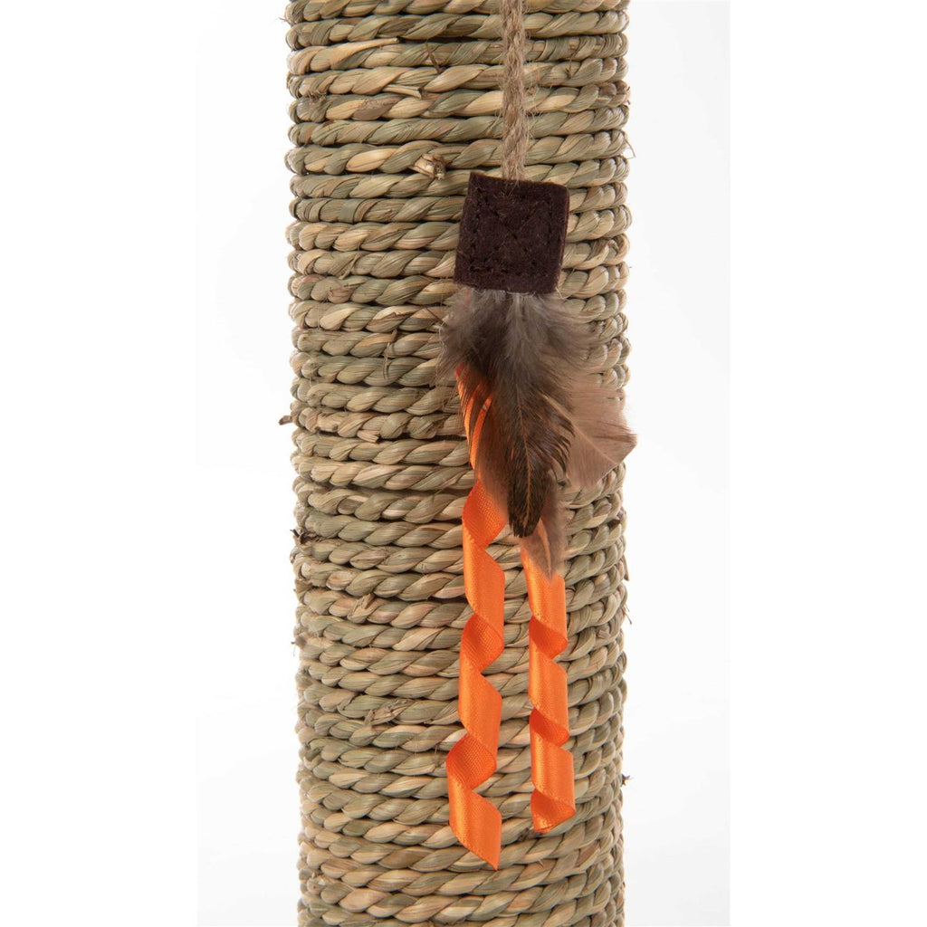 Simply Scratch Post with Feather Toy T574811