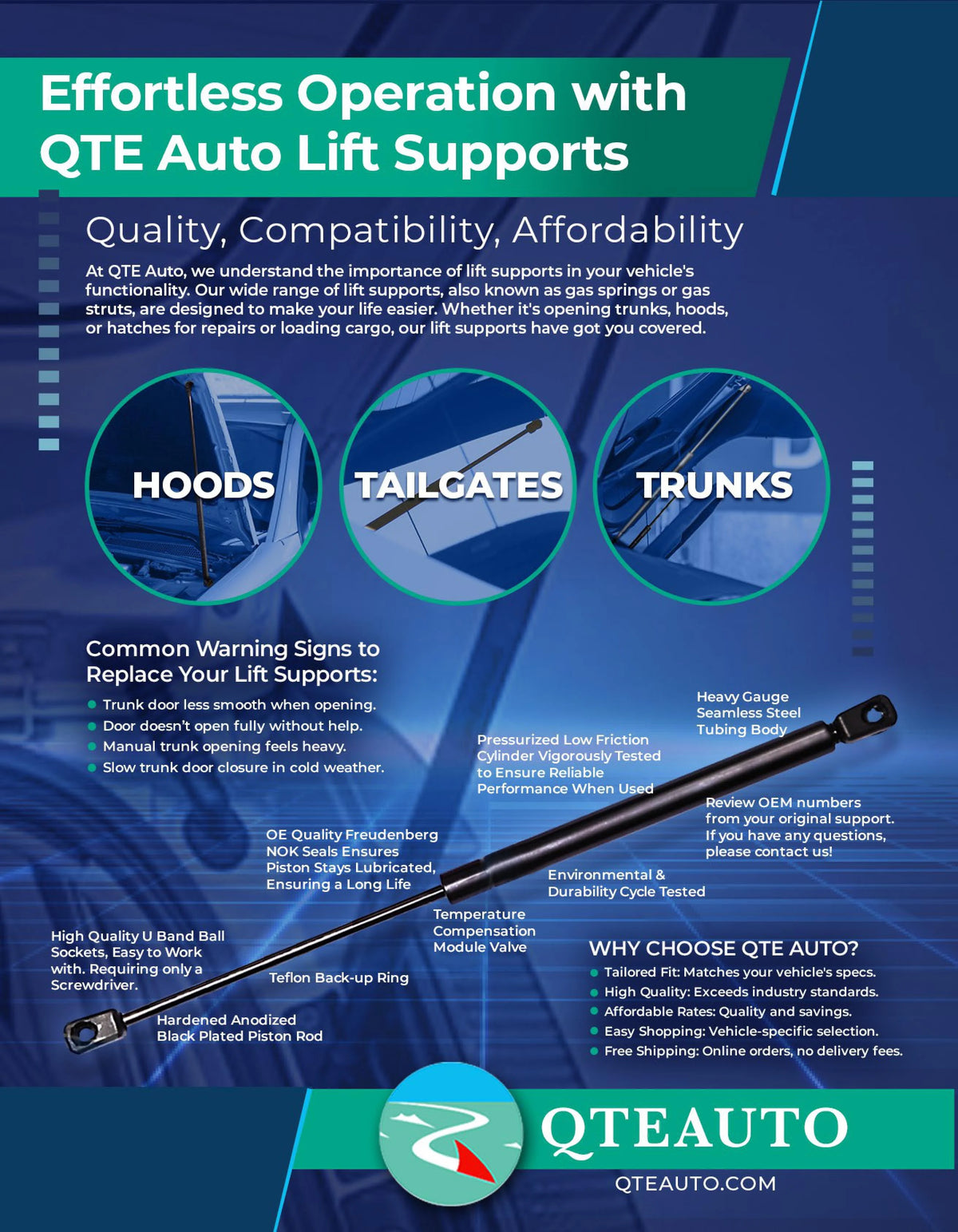 Pair of 2 Rear Tailgate Lift Support D819