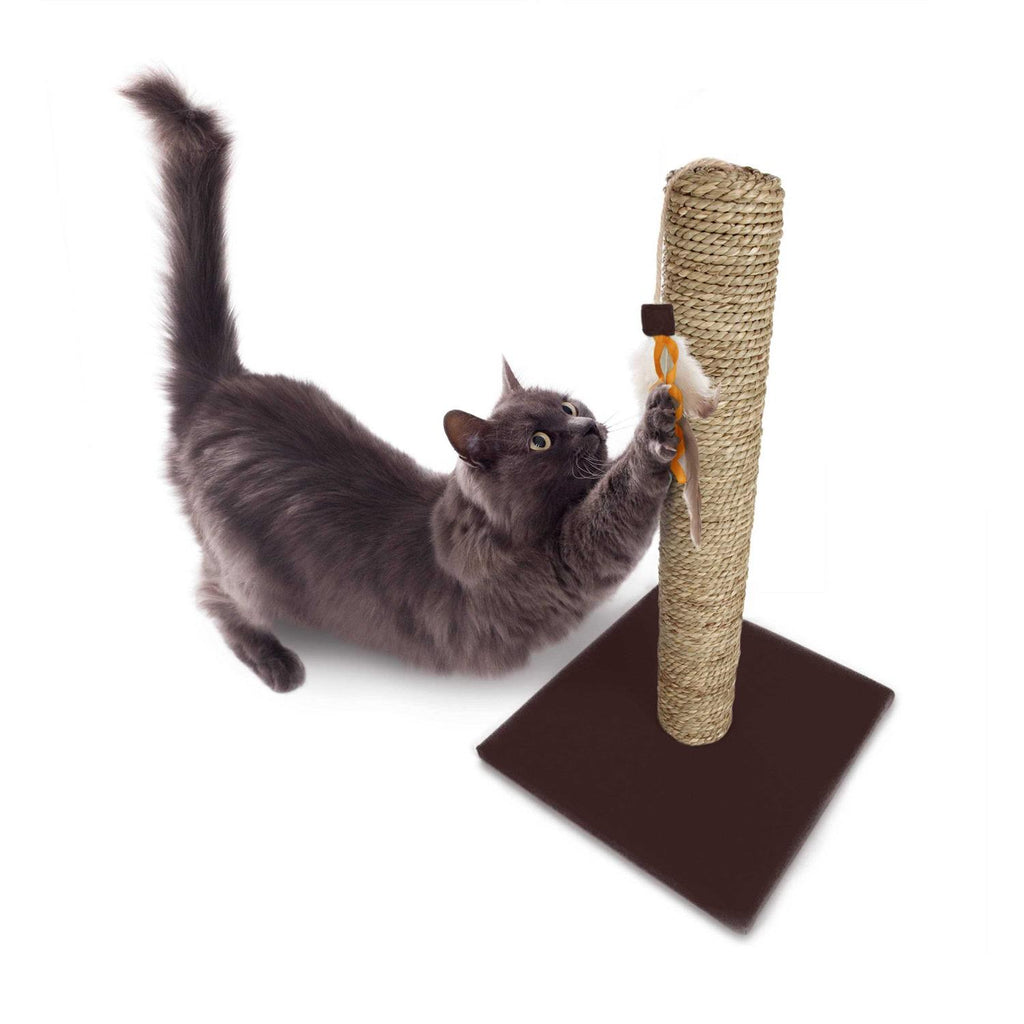 Simply Scratch Post with Feather Toy T574811