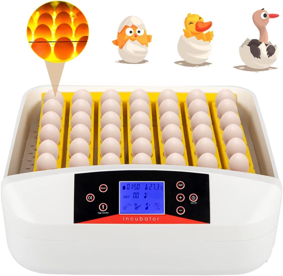 9 Egg Incubator with Temperature Control and Egg Candle Tester Pack of 2 J21208