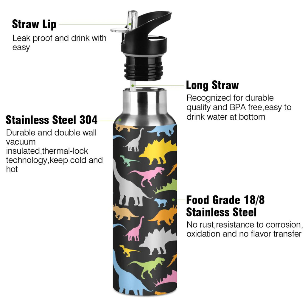Stainless Steel Vacuum Insulated Water Bottle with Straw Lid 20 OZ W7921