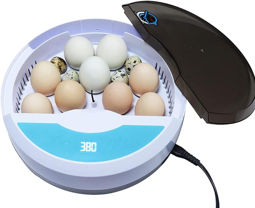 9 Egg Incubator with Temperature Control and Egg Candle Tester Pack of 2 J21208