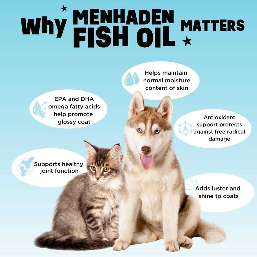 Fish Oil Q948363