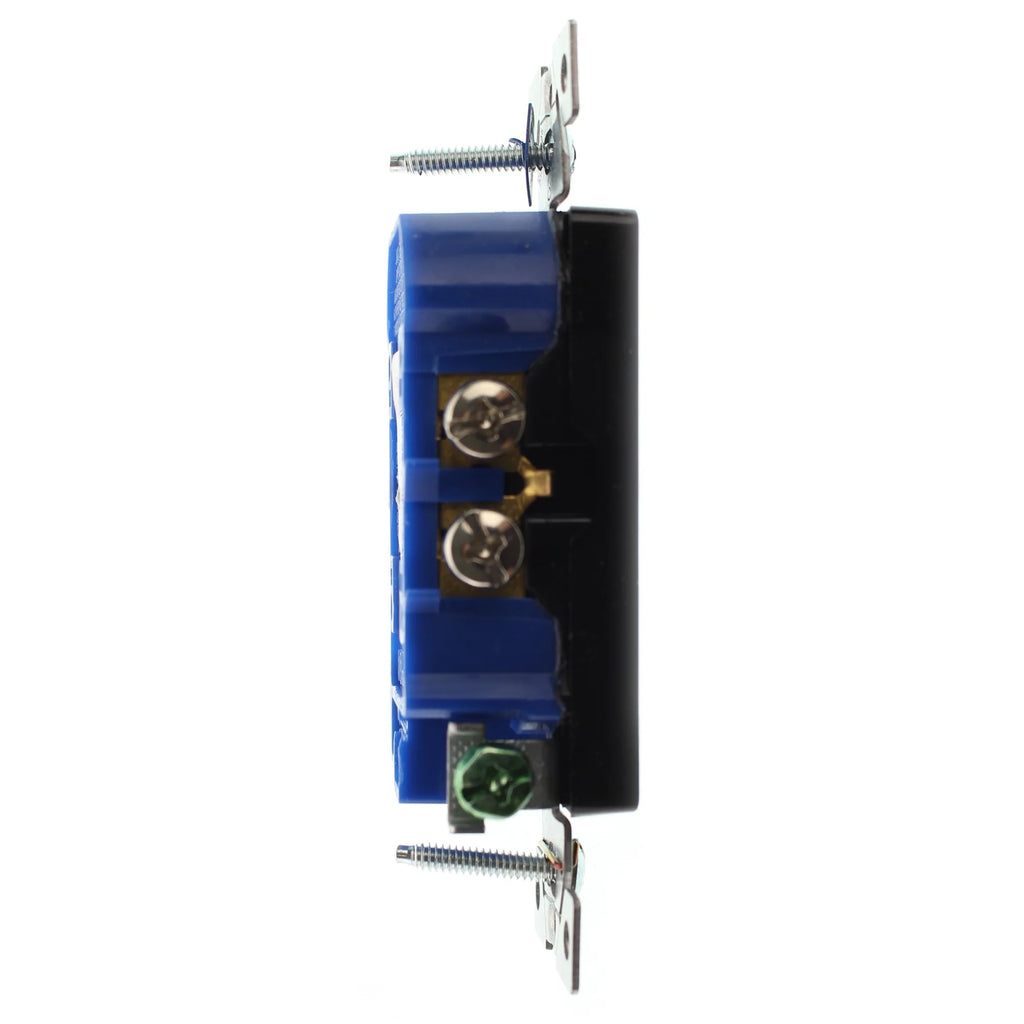 Duplex Decorator Receptacle Outlet, 15-Amp, 120-Volt, Black, 16-Pack P227119