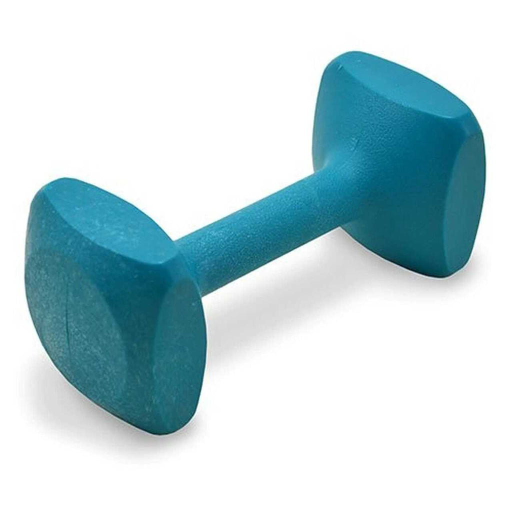 Dog Obedience Retrieving Dumbbell O197215