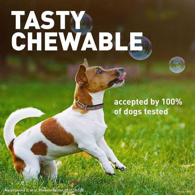 Chewable Tablet for Dogs Z95292