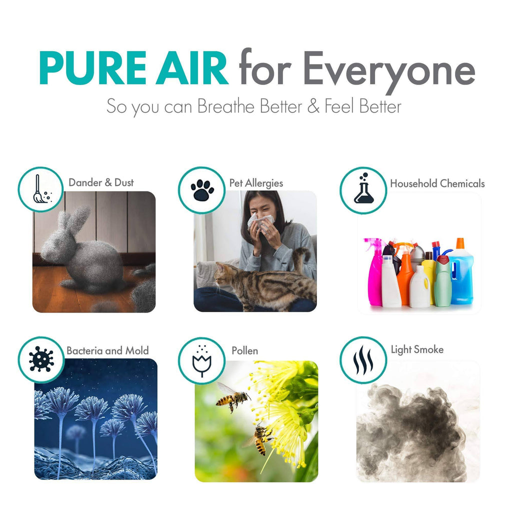 HEPA-Silver Air Purifier L153
