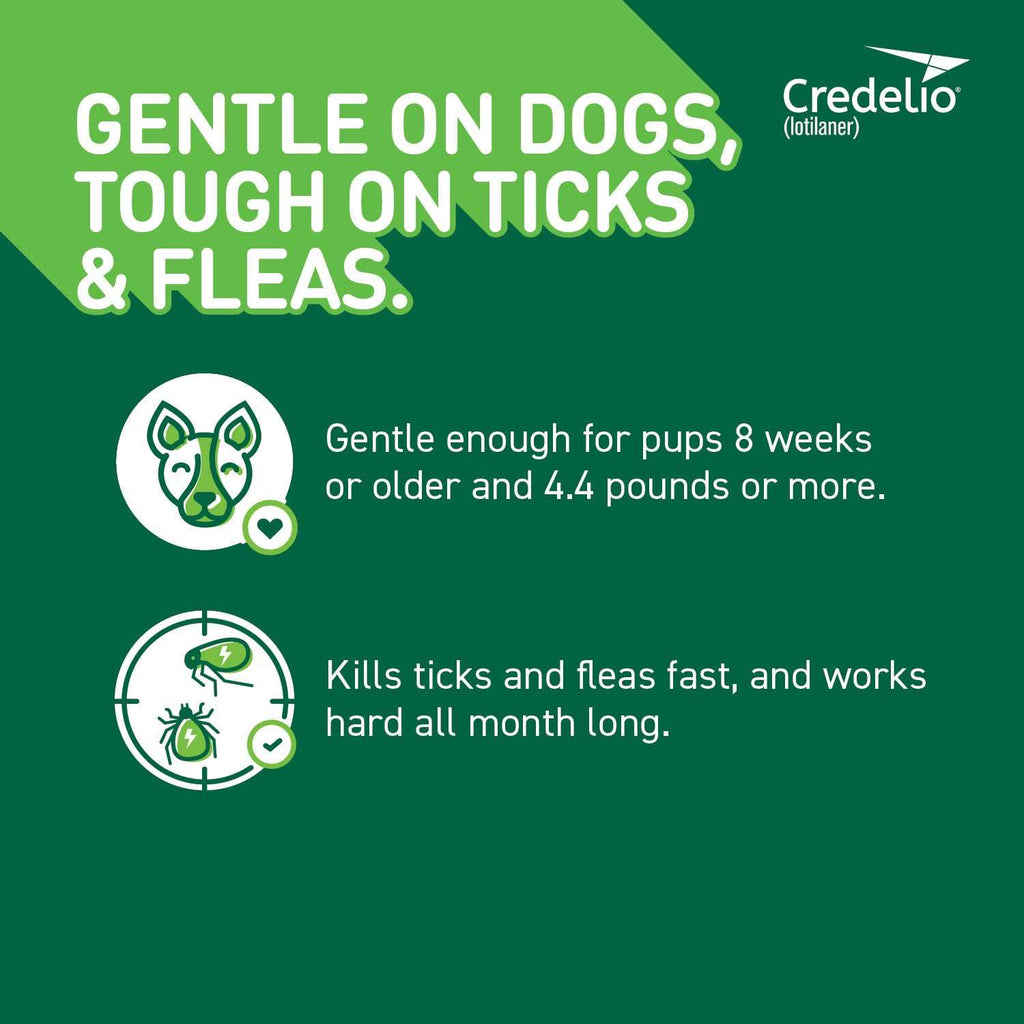 Chewable Tablet for Dogs Z95292