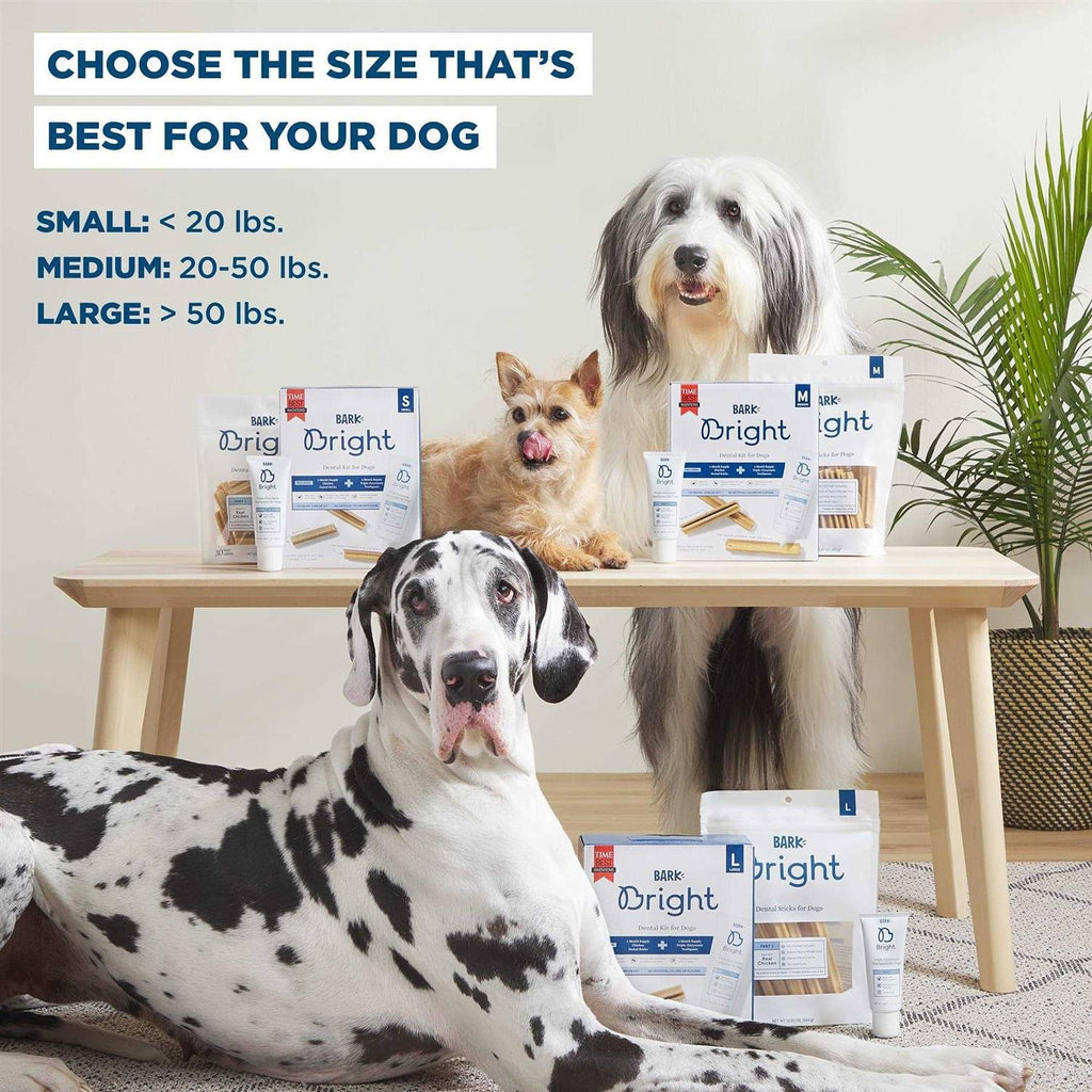 Dental Kit for Dogs L9925