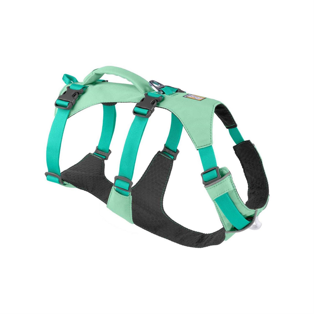 Harness N45712