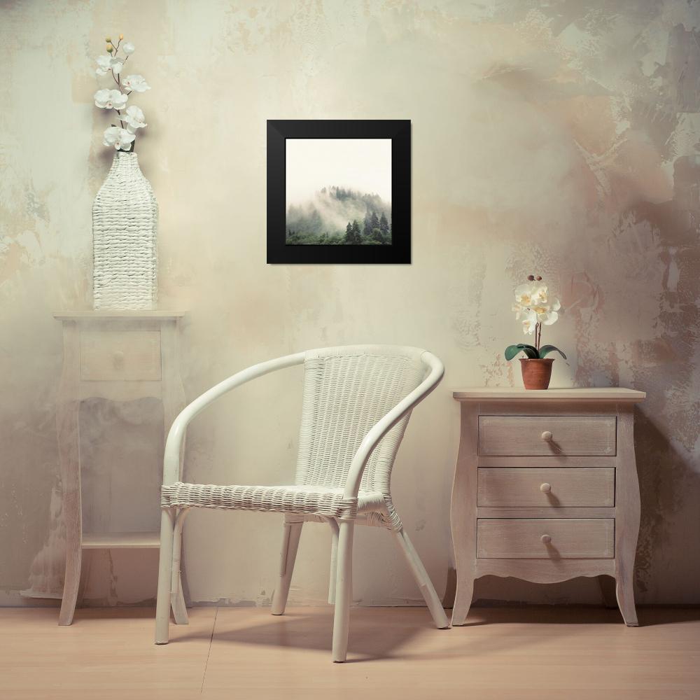 12x12 Black Framed Art Print E404638