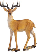 Woodland Buck Deer Garden Statue, 23 Inches Wide, 13 Inches Deep, 37 Inches High Q121