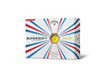 One Dozen Golf Balls E24382