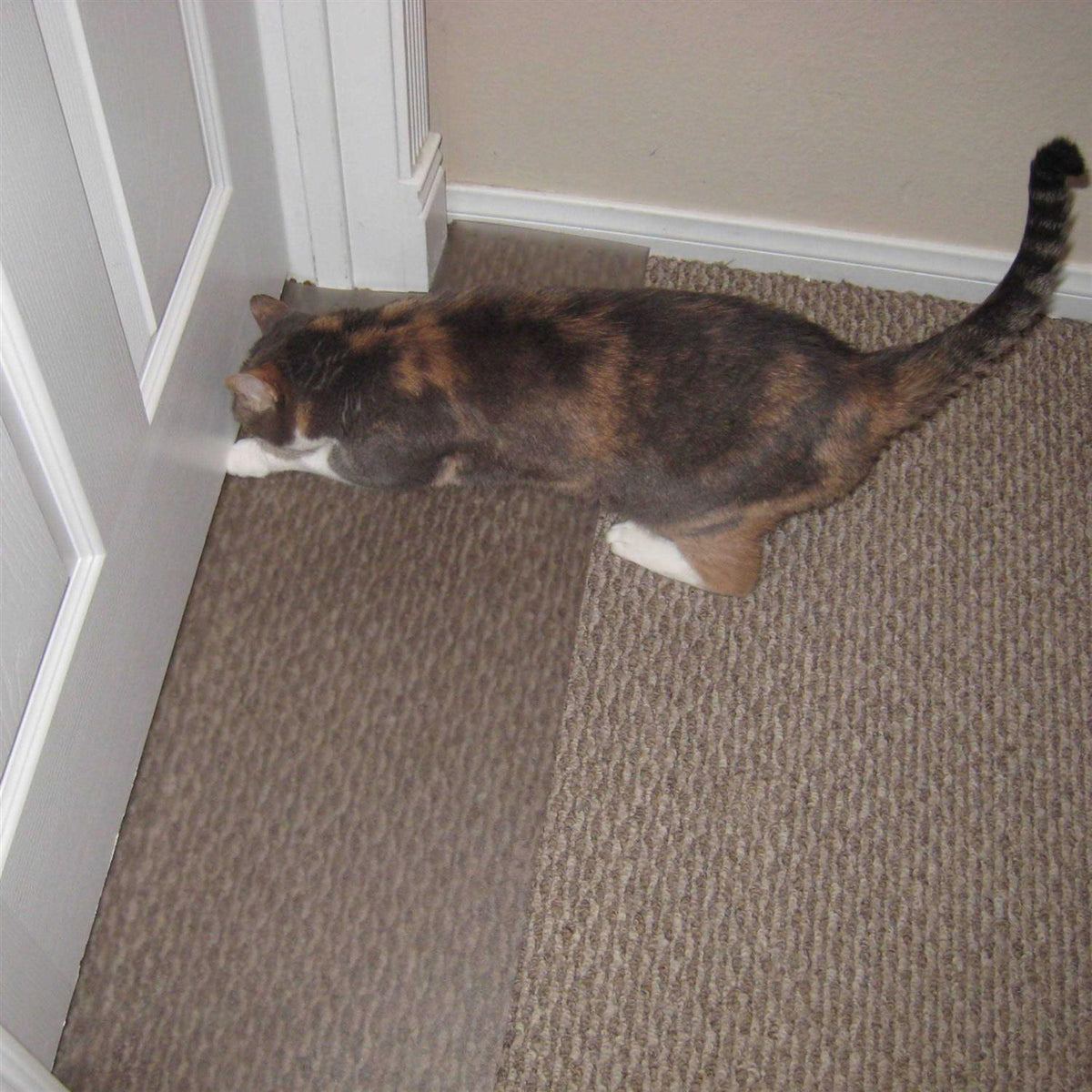 Carpet Scratch Stopper S352