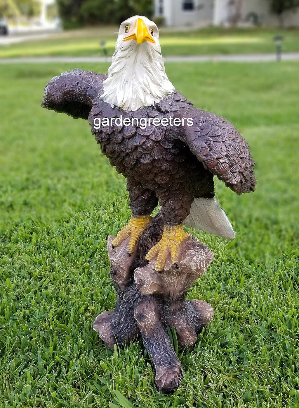 Large American Eagle Statue U3082