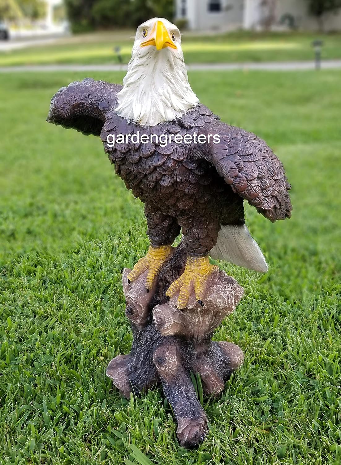 Large American Eagle Statue U3082