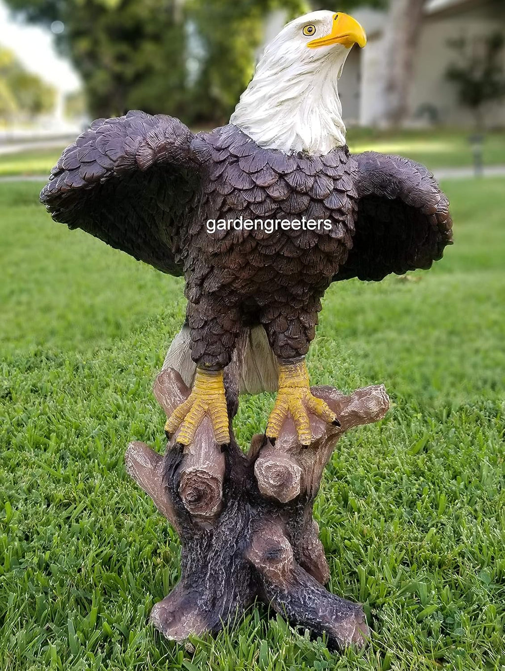 Large American Eagle Statue U3082