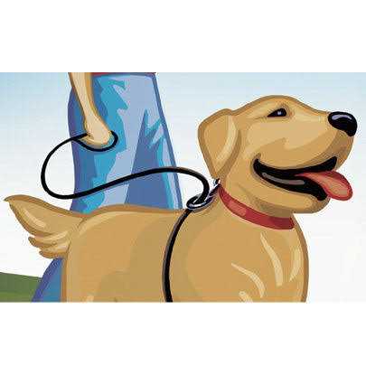No Pull Dog Leash L184