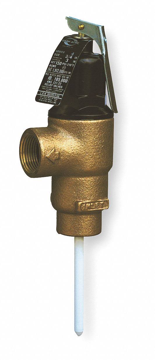 T and P Relief Valve P93252