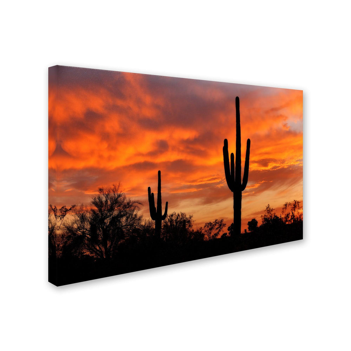 Canvas Art I331304