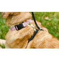 No Pull Dog Leash L184