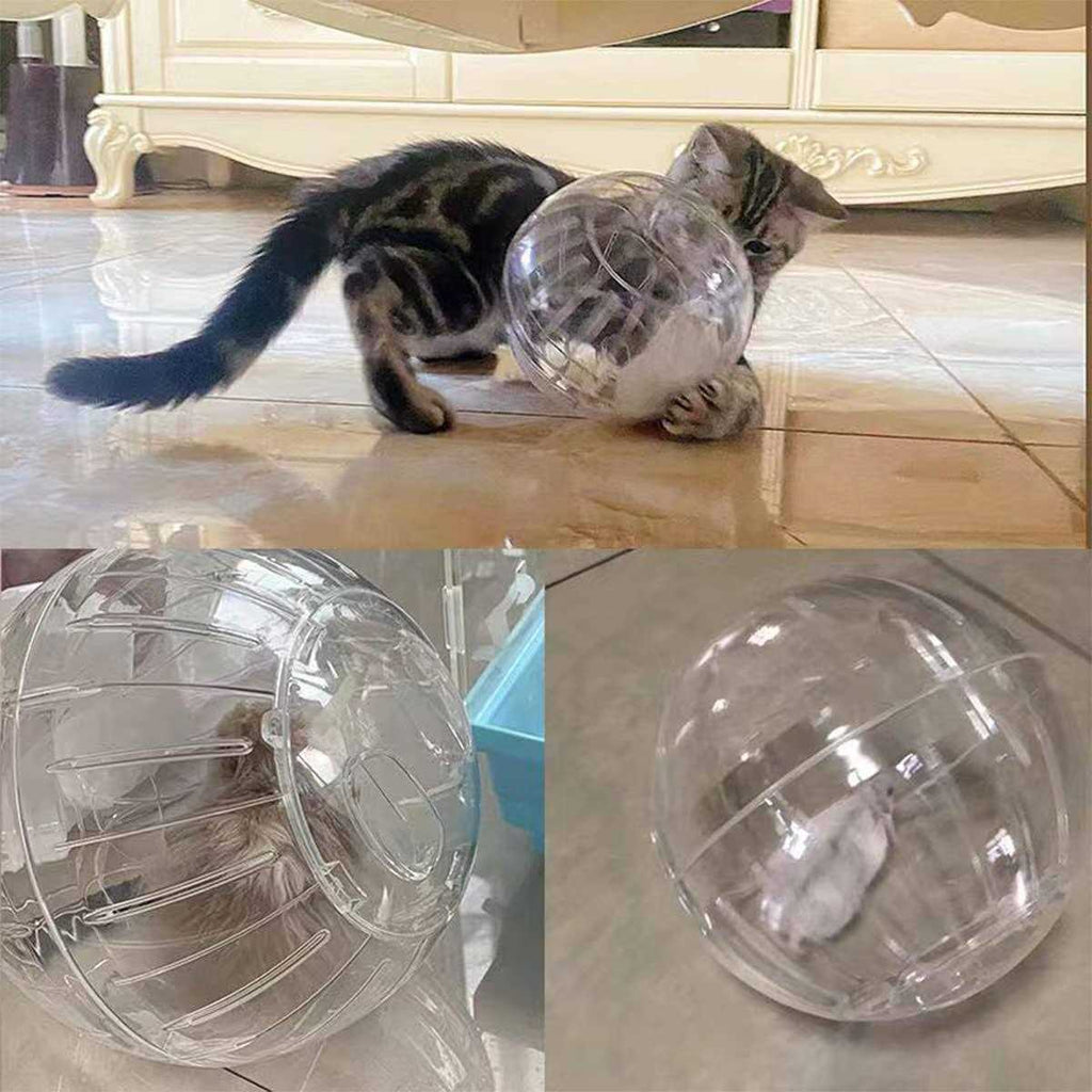 Hamster Exercise Ball Transparent R401