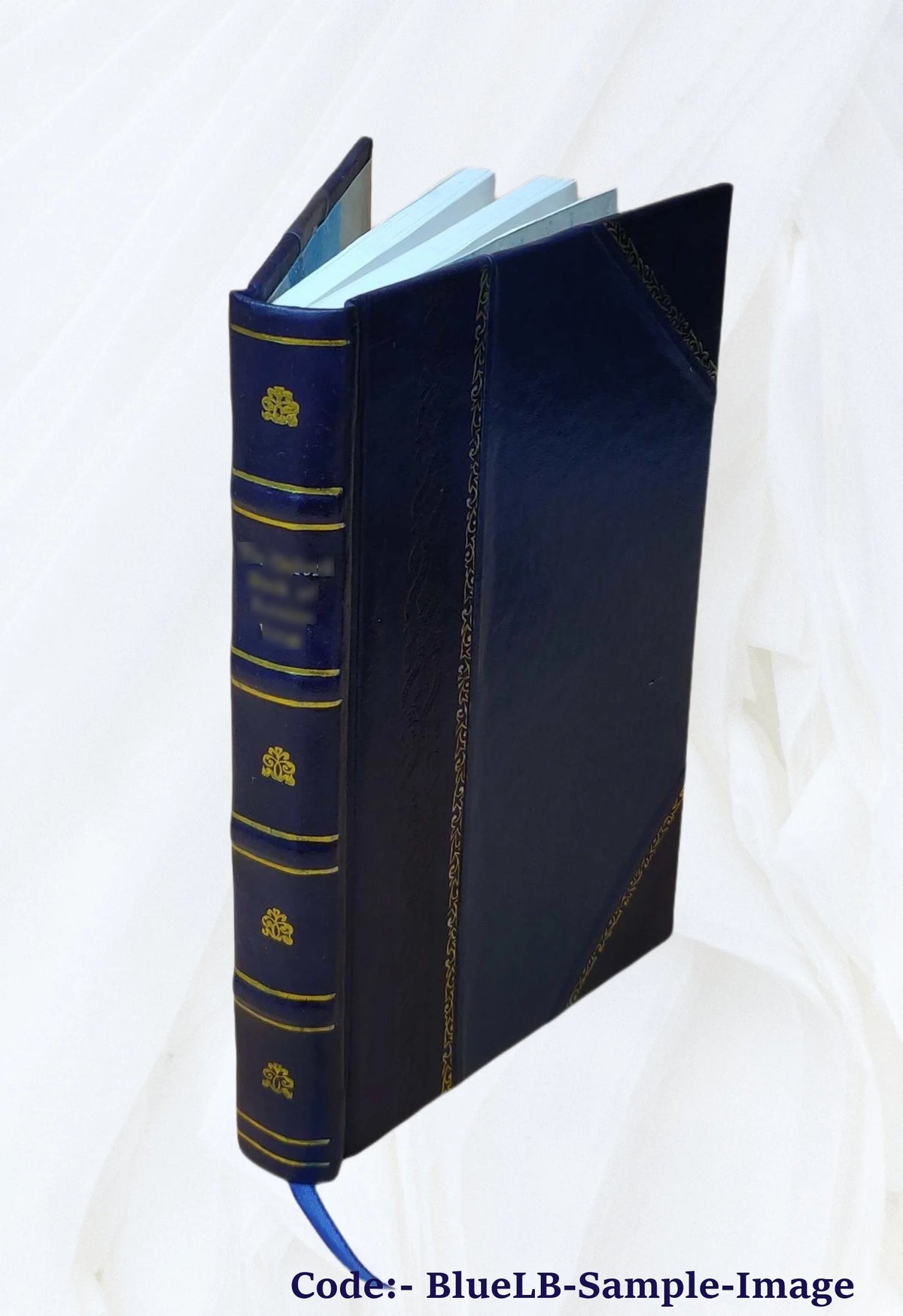 Leather Bound Book N21184