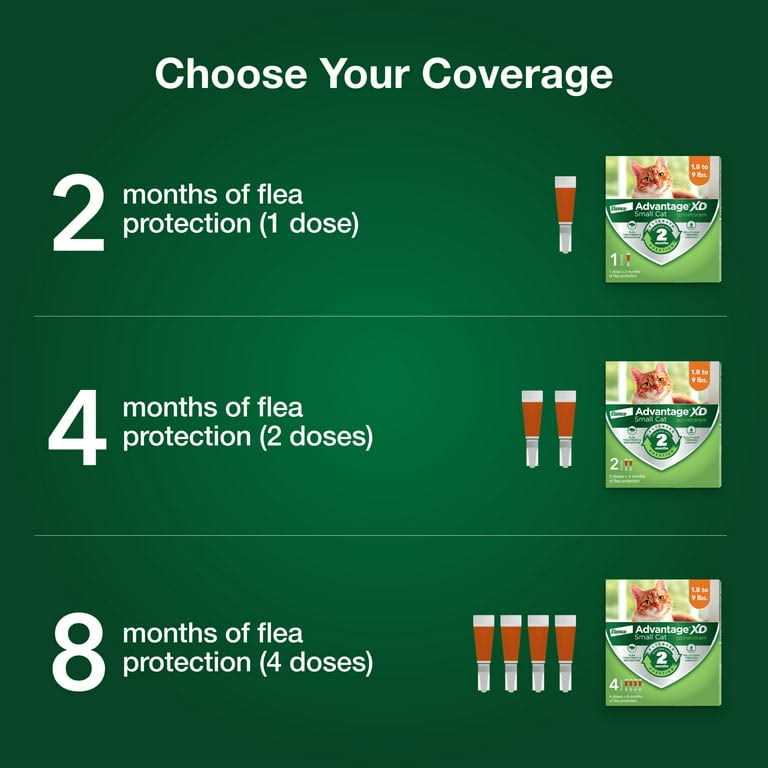 Cat Flea Prevention & Treatment I986991