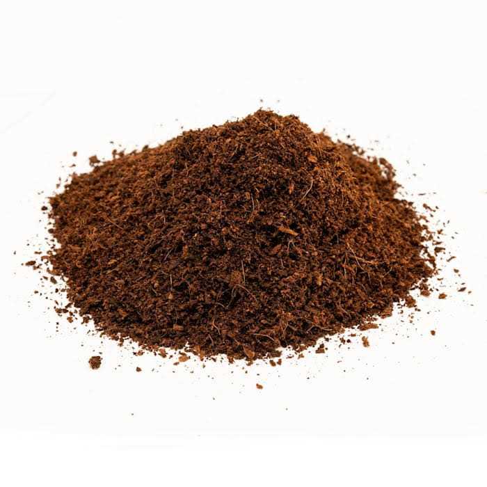 Loose Coconut Fiber Substrate B6281