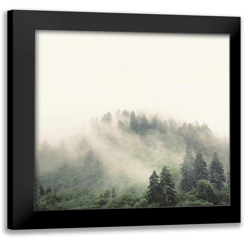 12x12 Black Framed Art Print E404638