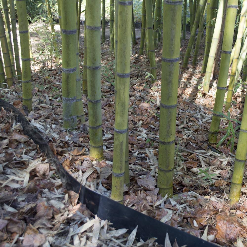 75 Feet Long x 24 inch x 60 Mil Bamboo Root Barrier W11057