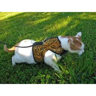 Cat Harness U414082