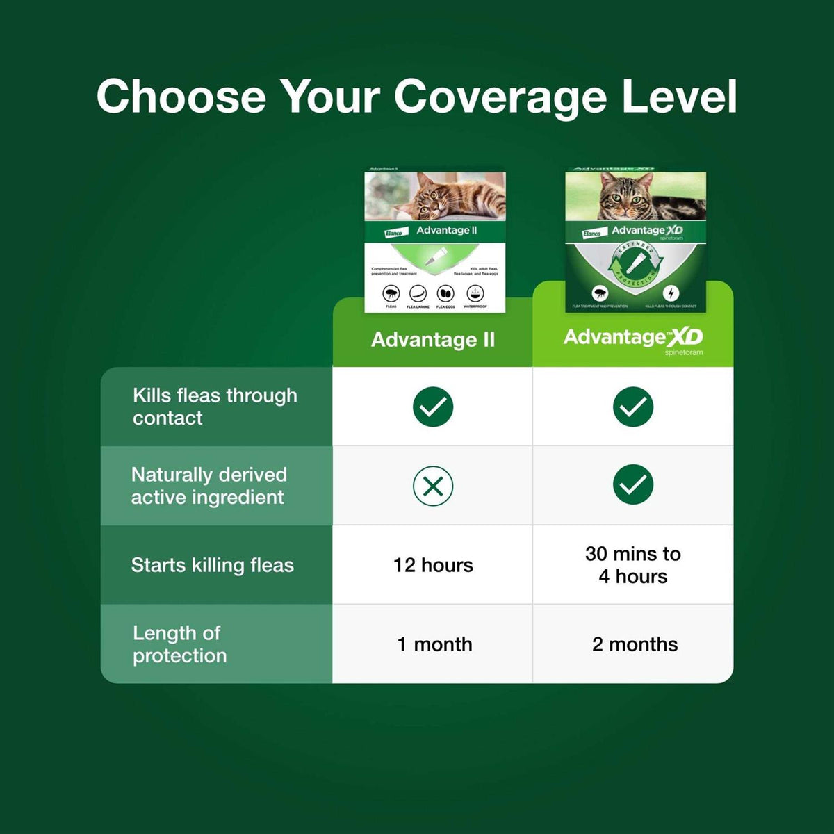 Cat Flea Prevention & Treatment I986991