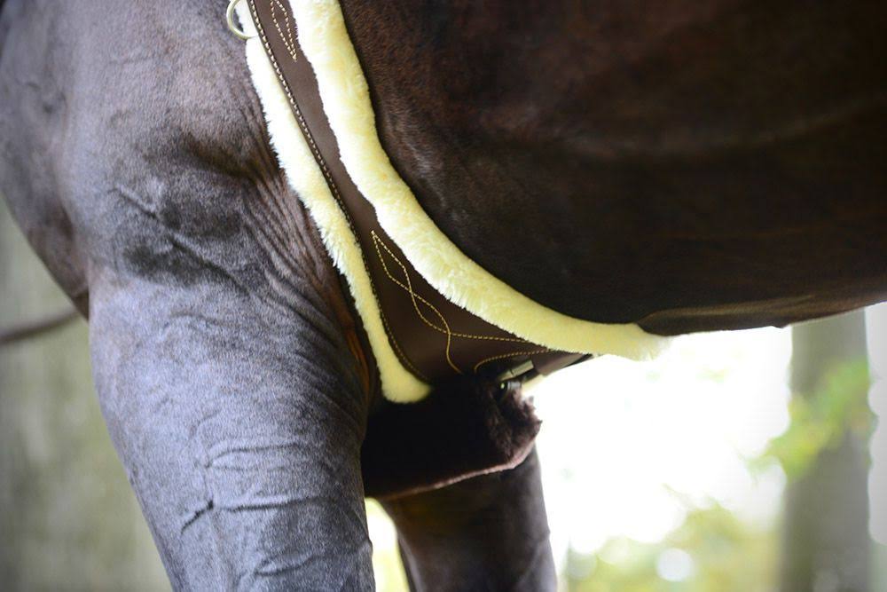 Anatomical Saddle Girth with Lambskin Y632