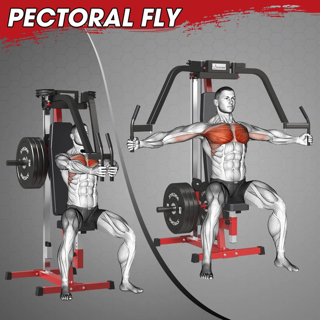 Chest Fly and Reverse Delt Machine 400 lbs K411
